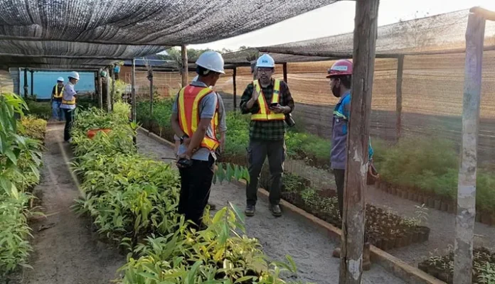 Serius Reklamasi Lahan Bekas Tambang, Antam UBPN Konut Akan Gandeng IPB dan UHO