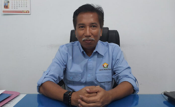 Kepala Dinas (Kadis) Kehutanan Sulawesi Tenggara (Sultra) Sahid