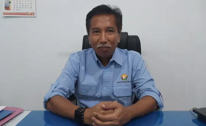 Kepala Dinas (Kadis) Kehutanan Sulawesi Tenggara (Sultra) Sahid