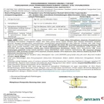 Pengumuman Tender Umum 2 Tahap Pengadaan Jasa Pembangunan Rumah Genset Site Tapunopaka