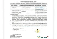 Pengumuman Tender Umum 2 Tahap Pengadaan Jasa Pembangunan Rumah Genset Site Tapunopaka