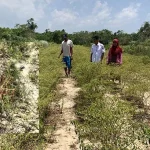 Kemarau, 4,5 Hektare Tanaman Cabai di Lakabu Mubar Mati Kemarau, 4,5 Hektare Tanaman Cabai di Lakabu Mubar Mati