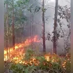 1 Hektare Lahan Kampus UHO Dilalap Api 1 Hektare Lahan Kampus UHO Dilalap Api