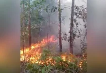 1 Hektare Lahan Kampus UHO Dilalap Api 1 Hektare Lahan Kampus UHO Dilalap Api