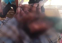 Seorang Pria di Kendari Tewas Saat Bakar Lahan di Kebun Seorang Pria di Kendari Tewas Saat Bakar Lahan di Kebun