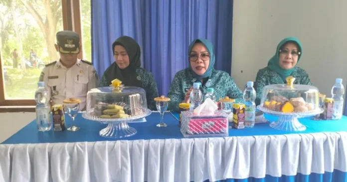 Kunjungi Kecamatan Onembute, TP PKK Konawe Beri Makanan Tambahan ke Ibu Hamil