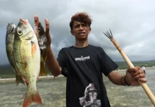 Keunikan Wisata Desa Wasuemba: Kegiatan Tombak Ikan Keunikan Wisata Desa Wasuemba: Kegiatan Tombak Ikan