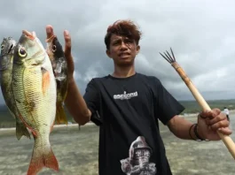 Keunikan Wisata Desa Wasuemba: Kegiatan Tombak Ikan Keunikan Wisata Desa Wasuemba: Kegiatan Tombak Ikan