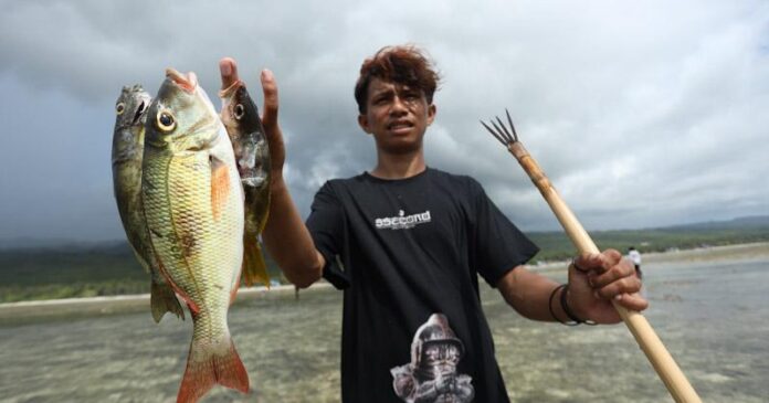 Keunikan Wisata Desa Wasuemba: Kegiatan Tombak Ikan