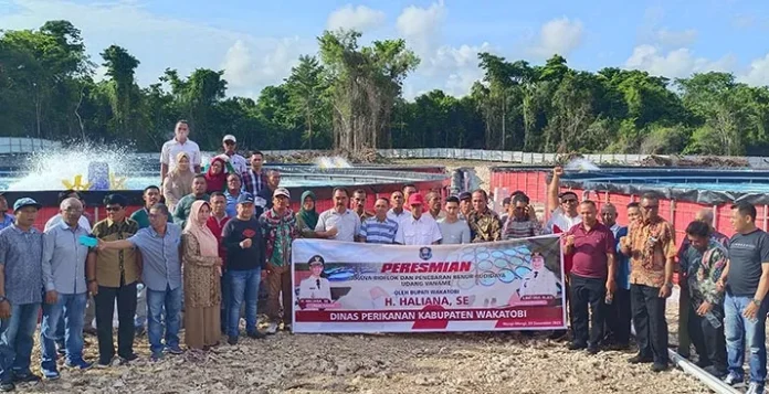 Bupati Wakatobi Tabur 550 Ribu Benur Udang Vaname di 4 Kolam Bioflok