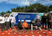PT ANTAM dan BKSDA Sultra Kerja Sama Program Transplantasi Terumbu Karang di Teluk Lasolo