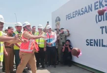 Sultra Ekspor 56 Ton Biji Pinang ke Negara Iran Sultra Ekspor 56 Ton Biji Pinang ke Negara Iran