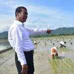 Kunjungi Konawe, Mentan Amran Pastikan Pupuk Subsidi Aman Kunjungi Konawe, Mentan Amran Pastikan Pupuk Subsidi Aman