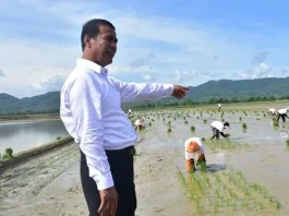 Kunjungi Konawe, Mentan Amran Pastikan Pupuk Subsidi Aman Kunjungi Konawe, Mentan Amran Pastikan Pupuk Subsidi Aman