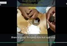 Cek Fakta: Keliru Video Buah Salak Impor dari Cina Berisi Sabu-sabu Cek Fakta: Keliru Video Buah Salak Impor dari Cina Berisi Sabu-sabu