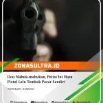 17886257021994281_zonasultraid