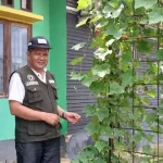 Tekan Inflasi, Ini yang Dilakukan Dinas Ketahanan Pangan Konut Tekan Inflasi, Ini yang Dilakukan Dinas Ketahanan Pangan Konut