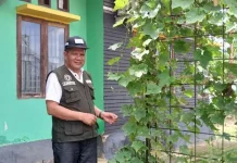 Tekan Inflasi, Ini yang Dilakukan Dinas Ketahanan Pangan Konut Tekan Inflasi, Ini yang Dilakukan Dinas Ketahanan Pangan Konut