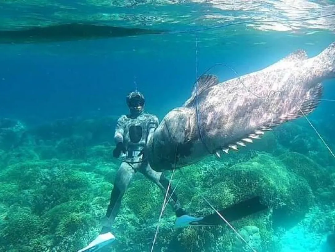 Keseruan Menombak Ikan di Wasuemba