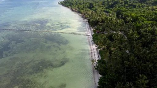 Keseruan Menombak Ikan di Wasuemba