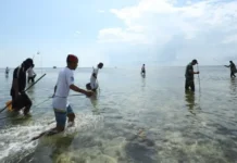 Keseruan Menombak Ikan di Wasuemba Keseruan Menombak Ikan di Wasuemba
