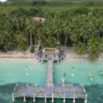 Mencandai Lumba-lumba di Pantai Wambuliga