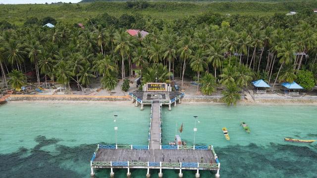 Mencandai Lumba-lumba di Pantai Wambuliga