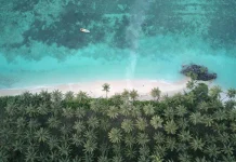 Snorkeling di Pantai Pasir Panjang Labengki Snorkeling di Pantai Pasir Panjang Labengki