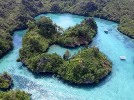 Menemukan Raja Ampat di Muna Menemukan Raja Ampat di Muna