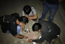Polres Kendari Berhasil Gagalkan Pelaku Pengedaran Sabu 36 Gram Polres Kendari Berhasil Gagalkan Pelaku Pengedaran Sabu 36 Gram