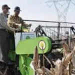Pengembangan Agribisnis Jagung untuk Ketahanan Pangan: Membangun Ekonomi dan Inovasi Pertanian Indonesia Pengembangan Agribisnis Jagung untuk Ketahanan Pangan: Membangun Ekonomi dan Inovasi Pertanian Indonesia