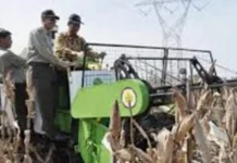 Pengembangan Agribisnis Jagung untuk Ketahanan Pangan: Membangun Ekonomi dan Inovasi Pertanian Indonesia Pengembangan Agribisnis Jagung untuk Ketahanan Pangan: Membangun Ekonomi dan Inovasi Pertanian Indonesia