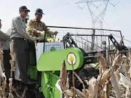 Pengembangan Agribisnis Jagung untuk Ketahanan Pangan: Membangun Ekonomi dan Inovasi Pertanian Indonesia Pengembangan Agribisnis Jagung untuk Ketahanan Pangan: Membangun Ekonomi dan Inovasi Pertanian Indonesia