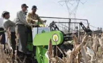 Pengembangan Agribisnis Jagung untuk Ketahanan Pangan: Membangun Ekonomi dan Inovasi Pertanian Indonesia Pengembangan Agribisnis Jagung untuk Ketahanan Pangan: Membangun Ekonomi dan Inovasi Pertanian Indonesia