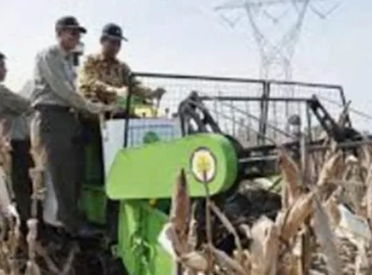 Pengembangan Agribisnis Jagung untuk Ketahanan Pangan: Membangun Ekonomi dan Inovasi Pertanian Indonesia Pengembangan Agribisnis Jagung untuk Ketahanan Pangan: Membangun Ekonomi dan Inovasi Pertanian Indonesia