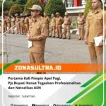 18365607406109562_zonasultraid