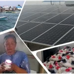 PLTS Pulau Saponda: Cahaya yang Padam di Tengah Transisi Energi PLTS Pulau Saponda: Cahaya yang Padam di Tengah Transisi Energi
