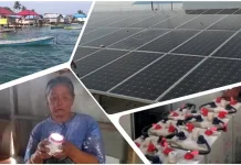 PLTS Pulau Saponda: Cahaya yang Padam di Tengah Transisi Energi PLTS Pulau Saponda: Cahaya yang Padam di Tengah Transisi Energi