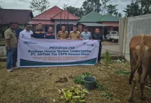 25 Hewan Kurban untuk Warga: ANTAM UBPN Konawe Utara Rayakan Idul Adha dengan Aksi Sosial 25 Hewan Kurban untuk Warga: ANTAM UBPN Konawe Utara Rayakan Idul Adha dengan Aksi Sosial