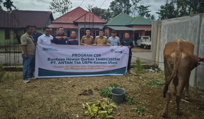 25 Hewan Kurban untuk Warga: ANTAM UBPN Konawe Utara Rayakan Idul Adha dengan Aksi Sosial