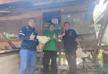 CSR ANTAM UBPN Konawe Utara Majukan Peternakan Ayam Pedaging di Desa Awila PT Sumber Bumi Putera Gelar PPM Makan Bergizi Gratis untuk Siswa SDN 5 Molawe