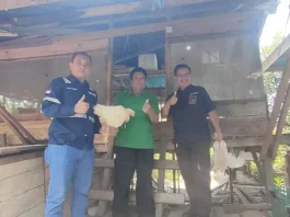 CSR ANTAM UBPN Konawe Utara Majukan Peternakan Ayam Pedaging di Desa Awila PT Sumber Bumi Putera Gelar PPM Makan Bergizi Gratis untuk Siswa SDN 5 Molawe
