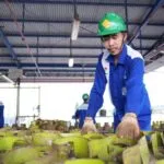 Pendaftaran Pangkalan LPG 3 Kg Berbayar di Pastikan Hoax, Berikut Penjelasannya Pendaftaran Pangkalan LPG 3 Kg Berbayar di Pastikan Hoax, Berikut Penjelasannya