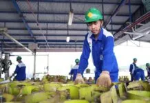 Pendaftaran Pangkalan LPG 3 Kg Berbayar di Pastikan Hoax, Berikut Penjelasannya Pendaftaran Pangkalan LPG 3 Kg Berbayar di Pastikan Hoax, Berikut Penjelasannya