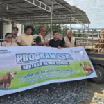 PT ANTAM UBPN Konawe Utara Salurkan 26 Ekor Sapi Kurban untuk Warga Lingkar Tambang dan Mitra Perusahaan PT ANTAM UBPN Konawe Utara Salurkan 26 Ekor Sapi Kurban untuk Warga Lingkar Tambang dan Mitra Perusahaan