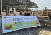 PT ANTAM UBPN Konawe Utara Salurkan 26 Ekor Sapi Kurban untuk Warga Lingkar Tambang dan Mitra Perusahaan PT ANTAM UBPN Konawe Utara Salurkan 26 Ekor Sapi Kurban untuk Warga Lingkar Tambang dan Mitra Perusahaan
