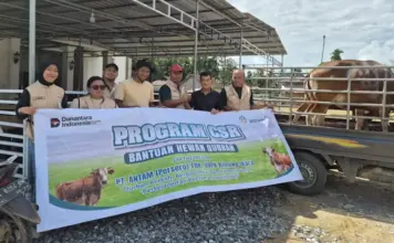 PT ANTAM UBPN Konawe Utara Salurkan 26 Ekor Sapi Kurban untuk Warga Lingkar Tambang dan Mitra Perusahaan PT ANTAM UBPN Konawe Utara Salurkan 26 Ekor Sapi Kurban untuk Warga Lingkar Tambang dan Mitra Perusahaan