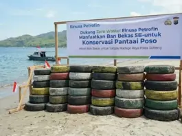 Dukung Zero Waste, Elnusa Petrofin Manfaatkan Ban Bekas untuk Konservasi Pantai Poso Dukung Zero Waste, Elnusa Petrofin Manfaatkan Ban Bekas untuk Konservasi Pantai Poso