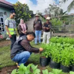 ANTAM Konawe Utara Dukung Program Mandiri Pangan di Desa Mowundo ANTAM Konawe Utara Dukung Program Mandiri Pangan di Desa Mowundo