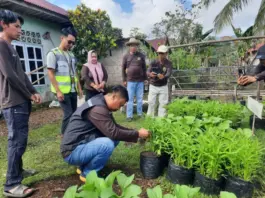 ANTAM Konawe Utara Dukung Program Mandiri Pangan di Desa Mowundo ANTAM Konawe Utara Dukung Program Mandiri Pangan di Desa Mowundo